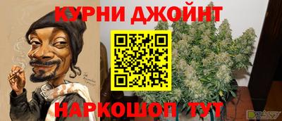 СК Волгодонск