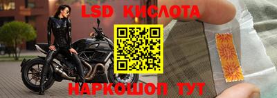 кокс Гатчина