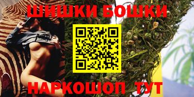 СК Волгодонск