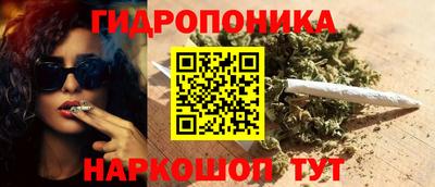 СК Волгодонск