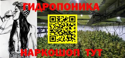 мдпв Гай