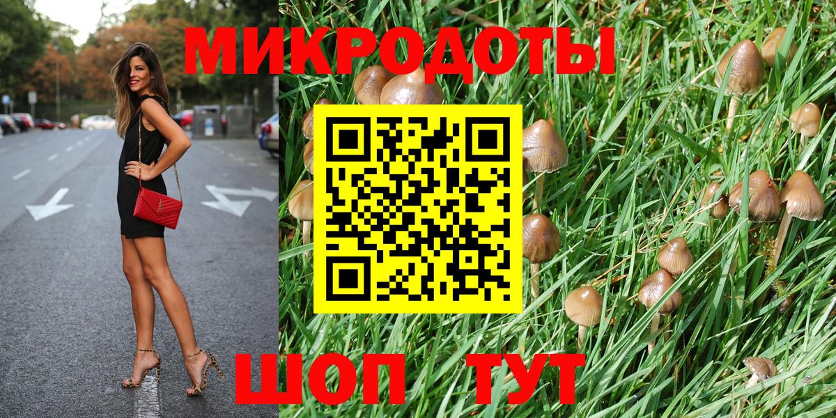 Галлюциногенные грибы Psilocybe Дагестанские Огни