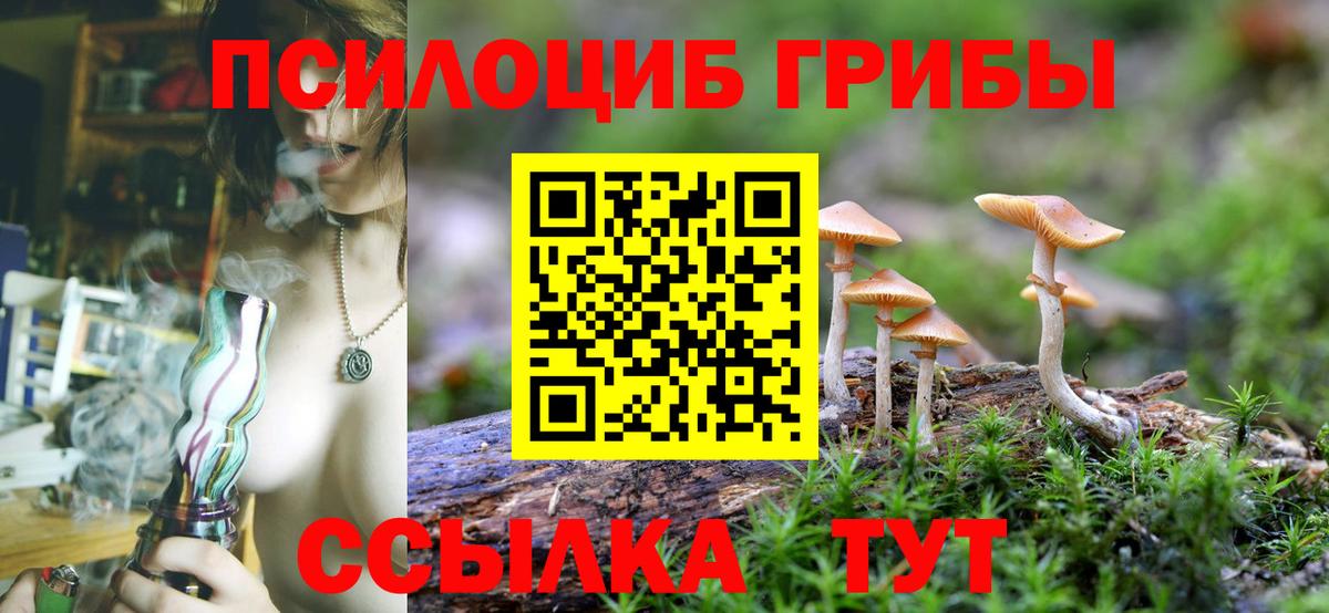 дарнет шоп  Псилоцибиновые грибы GOLDEN TEACHER  Вход с VPN  Дагестанские Огни 
